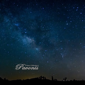 成年A级毛片免费播放
